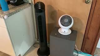 Grelife 36'' Tower Fan with Remote Vs Woozoo 5 speed Globe Fan