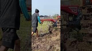 Tractor Traktor Sawah #shorts #traktorsawah45