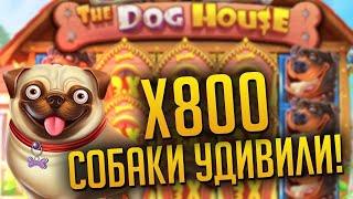 ПОКУПКА БОНУСОК В DOG HOUSE (5 ЧАСТЬ ) ALL IN DOG HOUSE