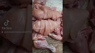 Fresh meat Owais Qureshi