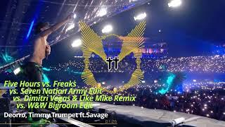 Five Hours vs. Freaks vs. Freaks (Remix) / Timmy Trumpet 2024 Mashup