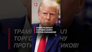 Трамп развязал торговую войну против союзников! #трамп #политика #война #новости #сша #санкции