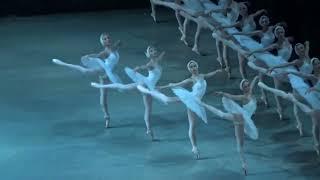 Swan Lake /30 May 2017/ Mariinsky Theatre, Corps de ballet.