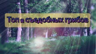 топ 10 съедобных грибов