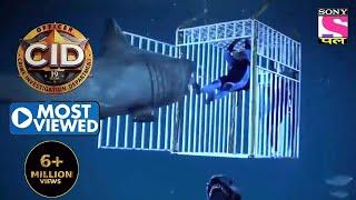 Daya Fights A Shark | CID | Most Viewed