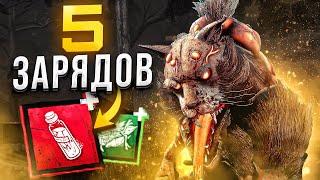 Мора Снова Бафнули ?? Dead by Daylight