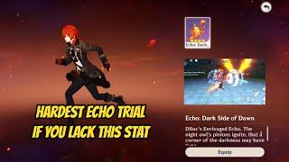 Secret Build & Battle Style for Diluc Envisaged Echo: Dark Side of Dawn | Diluc the Phoenix