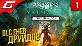 АССАСИН В ИРЛАНДИИ  ASSASSIN’S CREED: Valhalla \ Вальгалла — Гнев Друидов ◉ Прохождение #1