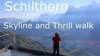 Skyline walk and Thrill walk at Birg, Schilthorn