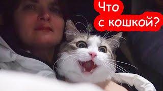 VLOG Настя переехала