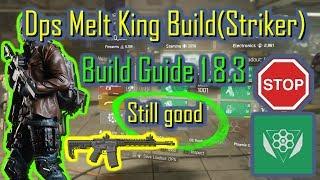 Dps Melt King 1.8.3 Striker(Build Guide)|The Division|