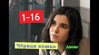 Чёрная кошка  сериал Анонс новых серий с 1 по 16 серию. Содержание и анонс серий