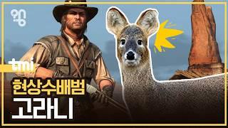 고라니를 사냥하면 안 될까?