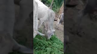 sotera Ranch continues helping communities @ Sotera Ranch fyp March 2025