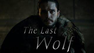 (GoT) Jon Snow || The Last Wolf