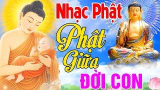 Nhạc Phật - Nhạc Phật Giáo Hay Nhất 2025 #79Ca Khúc Phật Giữa Đời Con #Nghe Mỗi Ngày Bình An May Mắn