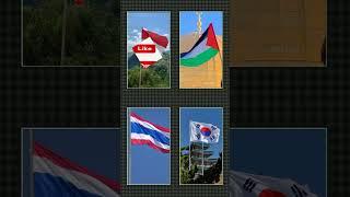 COLLOB BENDERA // INDONESIA,, PALESTINE,, KOREA UTARA,, THAILAND //#masukberanda#rameindong#fypシ