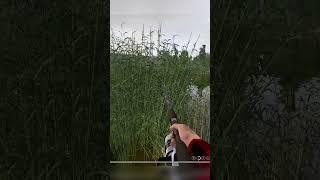 Русская Рыбалка 4 оз Комариное Трофей Ёрш 160 г #shorts #pp4 #русскаярыбалка4