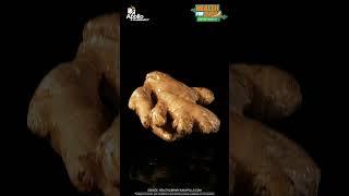 Right food for boosting immunity