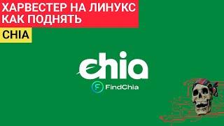 КАК ПОДНЯТЬ ХАРВЕСТЕР CHIA НА LINUX - ПУЛ FindChia