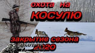 Охота на Косулю. Удачное закрытие сезона 2020!!!