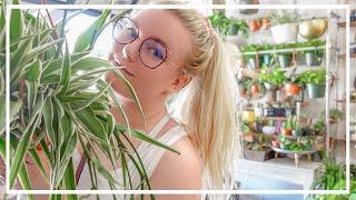 Lush Plant Shop Tour + Cute Plant Haul! Lets Go Houseplant Shopping Together!