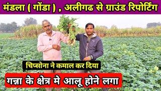 ऐसा चिप्सोना आलू नहीं देखा " गोंडा ( अलीगढ ) से ग्राउंड रिपोर्टिंग  real farmer education | aalu