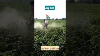 15अगस्त#short#jayhind#jay jawan jay kisan#agriculture#farmer#dailyvlog#minivlog