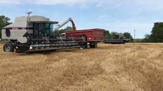 Wheat Harvest at Stroda Farms