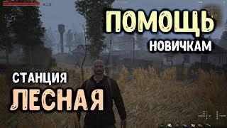 STALKER ОНЛАЙН / Станция Лесная / Помощь новичкам