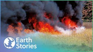 The Most Shocking Extreme Heat Disasters | Code Red Compilation | Earth Stories