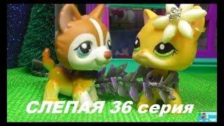 LPS: Слепая 36 серия