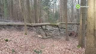 Auf stürmischen Wegen von Heimbuchental zum Heimathof