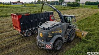 Wheat Silage 2022 with New Holland FR920 Black | Team Bovo