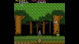 Ghosts 'n Goblins - Arcade Longplay