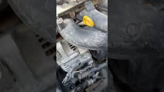 Head gasket and engine blows up #rizzfixx #automobile #gearbox #youtubeshorts