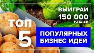 ТОП 5 популярных бизнес идей