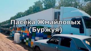 Откачка мёда. Промышленное пчеловодство. Пасека Жмайловых(Буржуй).