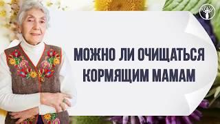 Можно ли очищаться кормящим мамам, очищение организма на гв, грудное вскармливание