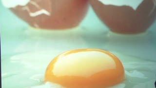 Study: Egg yolk nearly as bad as smoking