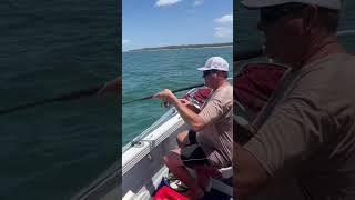 Securing prime baits #shorts  #fishing