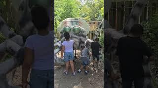 Philly Zoo trip