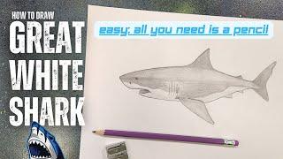 How to Draw a Great White Shark
