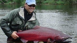 Huge 40Lb King Salmon on Fly-Royal Coachman Lodge in Alaska-HD Version