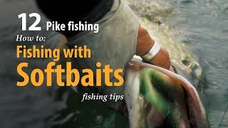 How to • Pike fishing • Fishing with Softbaits • fishing tips