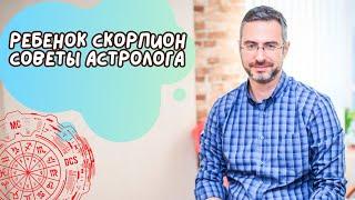 Детки Скорпионы. Все, что вам нужно знать о ребенке, рожденном под знаком Скорпиона