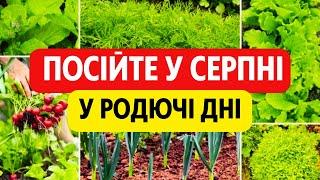 Збереш ДРУГИЙ врожай за рік! Посійте ці 20 рослин У СЕРПНІ у родючі дні за місячним календарем!