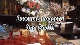 Важные новости для Вас‼️