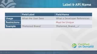 Overview of Fields and Field Types in Salesforce