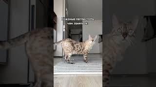 Внимание знатоки! Вопрос!